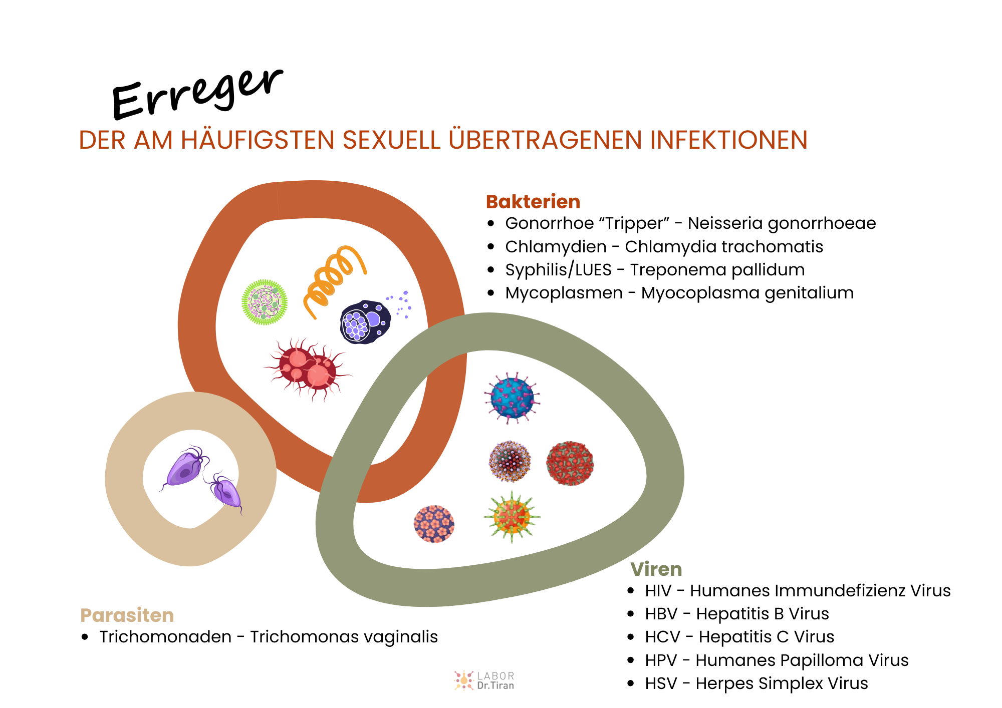 Übersicht zu Erreger, der am häufigsten sexuell übertragenen Infektionen STI