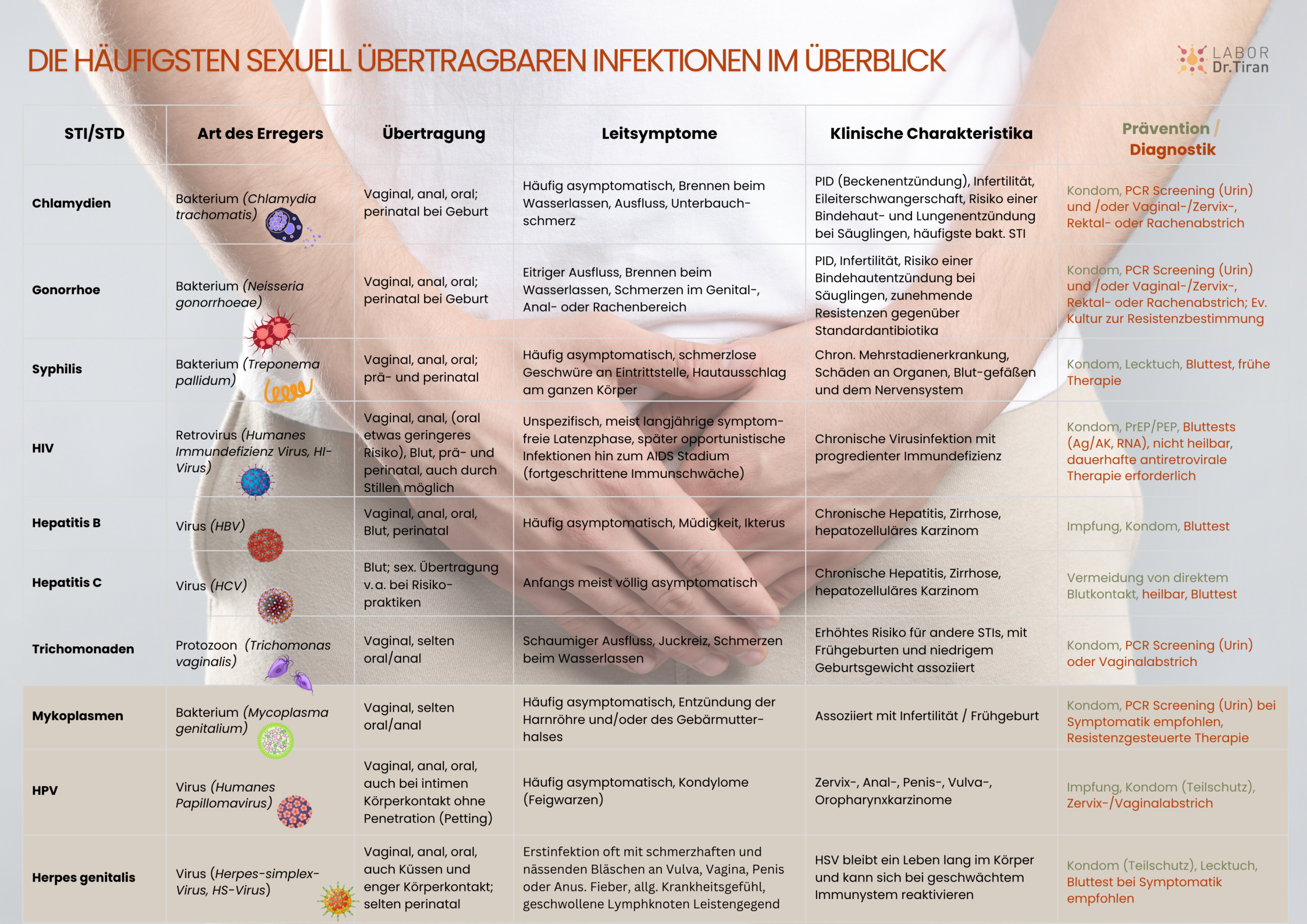die häufigsten sexuell übertragbaren Infektionen STI im Überblick